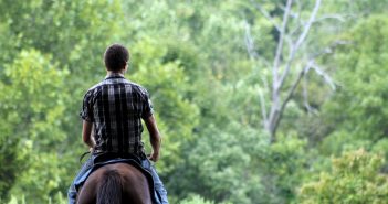 Waarom steeds meer mannen beginnen met paardrijden