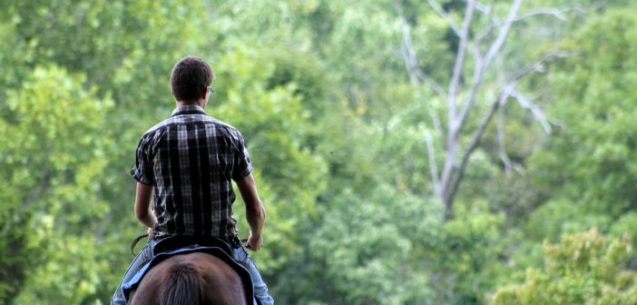 Waarom steeds meer mannen beginnen met paardrijden